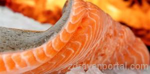 salmon