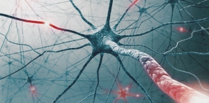4 фактора определят риска от множествена склероза  