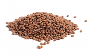 Леща срещу високо кръвно налягане  