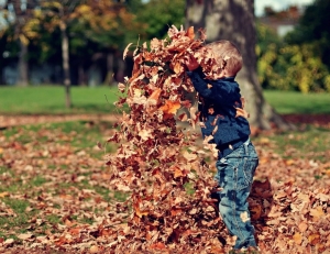 15 начина да имате по-здравословна есен