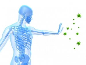 Имуностимулатори