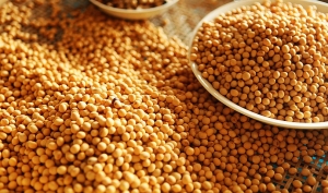 Добра или лоша е соята, всъщност?