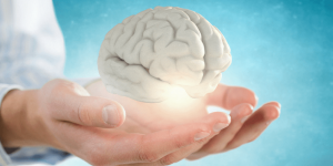 От какво зависи здравето на мозъка? Мащабно изследване дава отговора