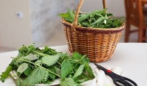 Копривата подобрява кръвообращението