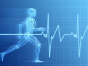 Д-р Васил Маринов – Специалист термовизуална диагностика гр. София