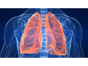 Доц. Д-р Христо Ганчев   Белодробни Болести  гр.Варна