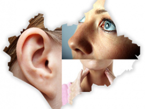 Димитър Папуров - УНГ гр. Варна