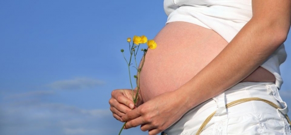 Гинекологичен кабинет Ева Виталис д-р Николай Николов София