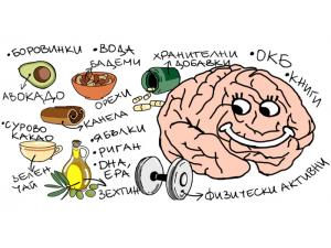Нахранете мозъка си