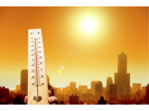 Топлинен и слънчев удар