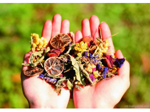 Дао на билките