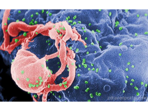 За пръв път дете, родено с ХИВ, е в ремисия от 12 години