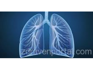 Д-р Емилия Димитрова – Пулмолог гр. Русе