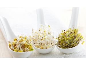 Живата храна