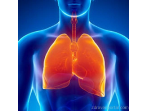 Д-р Христо Гугушев - Пулмолог гр. София