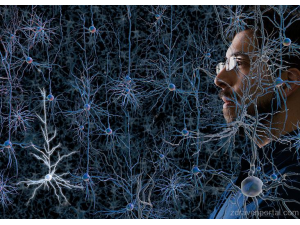 Откриха как да контролират мозъка