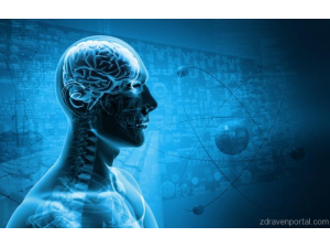 Откриха къде се крие ключът към интелигентността и успеха