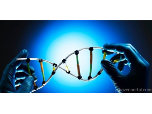 Американски учени тестват лекарство, което удължава живота