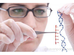 Учени се застъпиха за генното модифициране на човешки ембриони