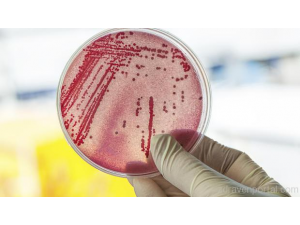 Всеки човек излъчва уникален “облак” от микроби