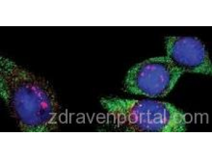 Д-р Соня Малинова – Клинична патология гр. София