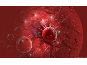 Учени: Ракът не е само лош късмет, зависи и от начина на живот