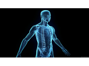 16 странни факта за човешкото тяло