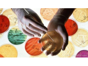 Ген прави бактериите устойчиви на най-мощния антибиотик