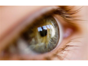 Учени коригираха генетичен дефект, причиняващ слепота