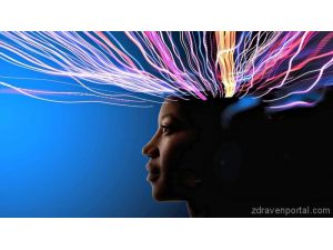 Човешкият мозък може да побере информацията от целия интернет