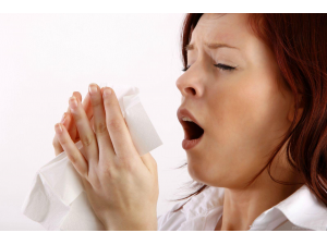 5 области на страната пред грипна епидемия