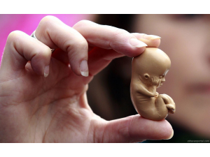 Британски учени получиха разрешение да променят гените на човешки ембриони