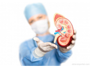 Революция в медицината: Създадоха първия изкуствен бъбрек за имплантиране