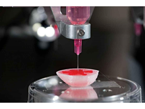 Създаден е биопринтер за органи, годни за трансплантация