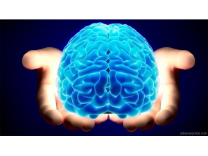 Не само настроенията, но и умствените способности се влияят от сезоните