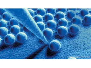 Наночастици унищожават ешерихия коли за секунди