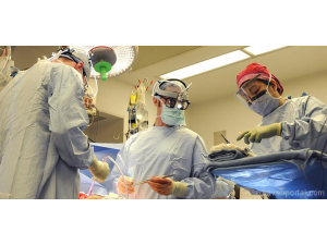 Едновременна трансплантация на черен дроб и бъбрек в УБ „ЛОЗЕНЕЦ“