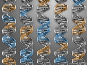 Създадоха най-малкия геном