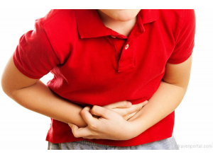 Норовирус е разболял учениците от Правец