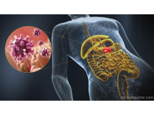 Гастроентеритът убива 219 000 души годишно по света
