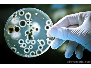 В САЩ регистрираха бактерия, устойчива на всякакви антибиотици