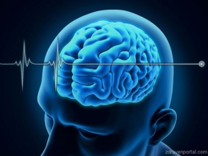 Ново изследване се бори с мозъчната смърт