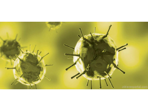 Биолози откриха гигантстки брониран вирус