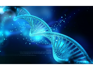 Бедността се отразява на човешката ДНК