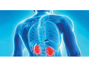 12 процента от населението на страната страда от хронично бъбречно заболяване