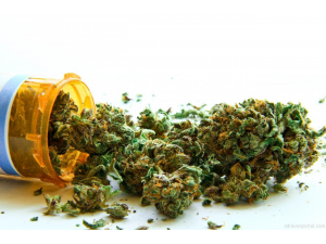 Парламентът гласува „против“ узаконяването на марихуаната за медицински цели