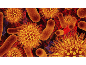 Мобилизация в САЩ срещу появата на устойчива на антибиотици бактерия