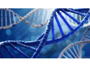 Учени успяха да запишат данни върху ДНК