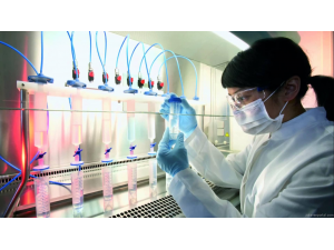 Генетичен тест показва дали детето ще се справя в училище