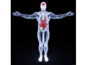 10 прости въпроса за човешкото тяло, на които науката още не може да отговори